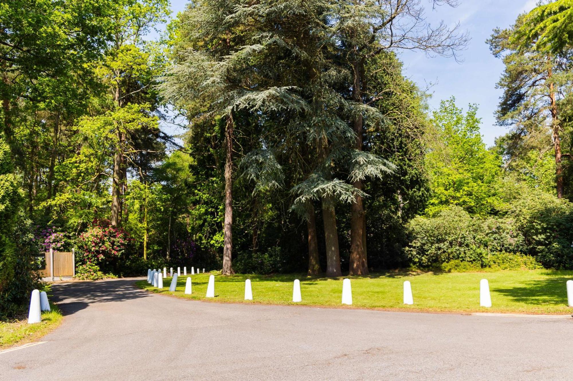 Отель Hilton Cobham Экстерьер фото
